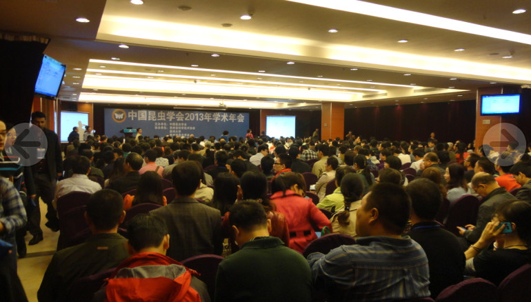 2013年昆虫学会学术会议
