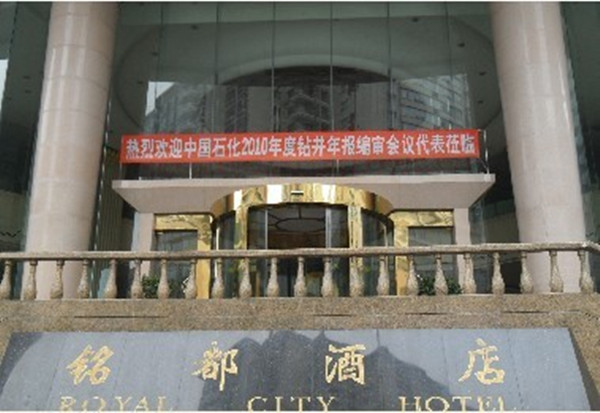 中国石化2010