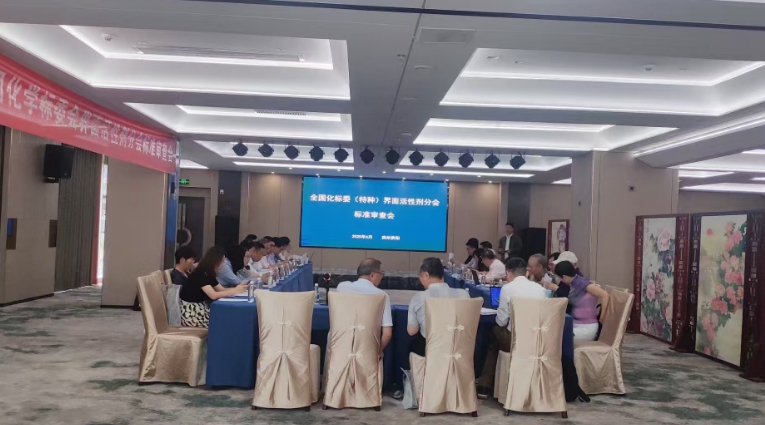 第四届全国化学标委会界面活性剂分会标准审查会